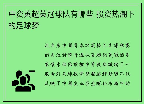 中资英超英冠球队有哪些 投资热潮下的足球梦